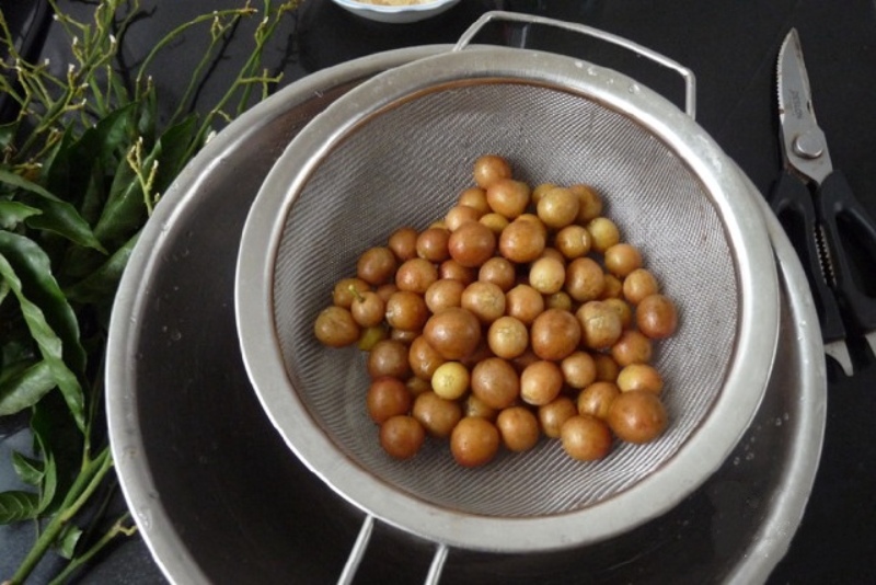 Hồng bì tươi được rửa và để ráo trong rổ inox