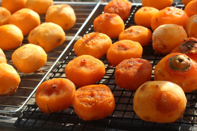 Phơi hồng dưới nắng