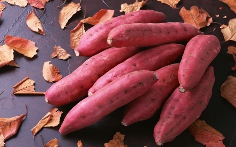 Khoai lang tươi dùng để làm mứt