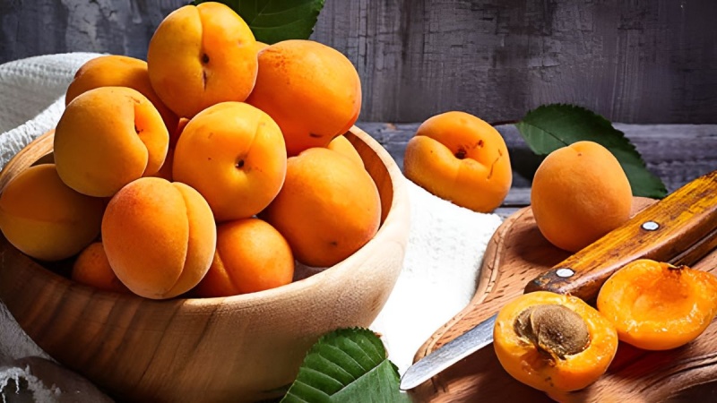 Mơ vàng tươi nguyên trái chuẩn bị cho món mứt mơ