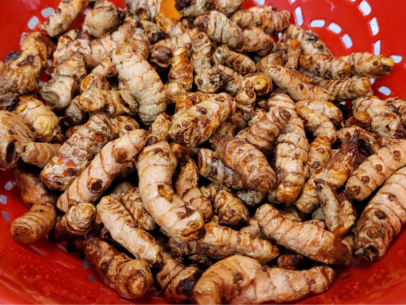 củ nghệ tươi rửa sạch để ráo