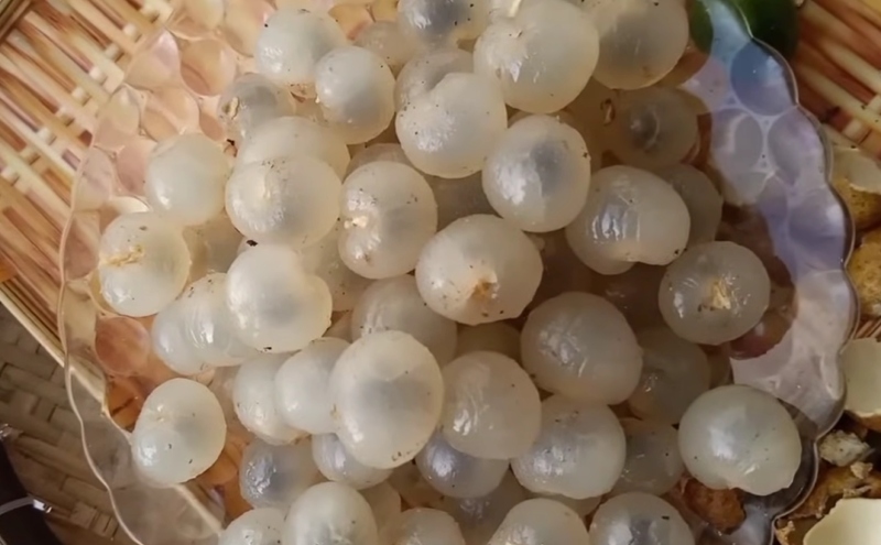 Công đoạn sơ chế nhãn