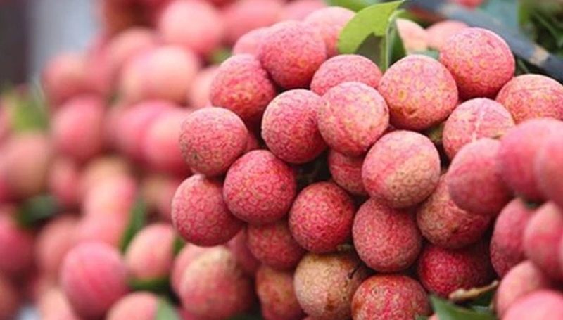 Cách chọn mua vải ngon để làm mứt