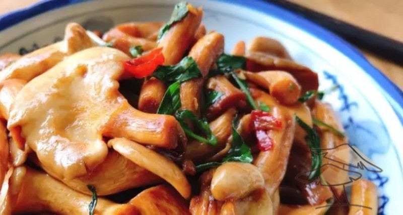 Thành phẩm món nấm bào ngư xào lá lốt