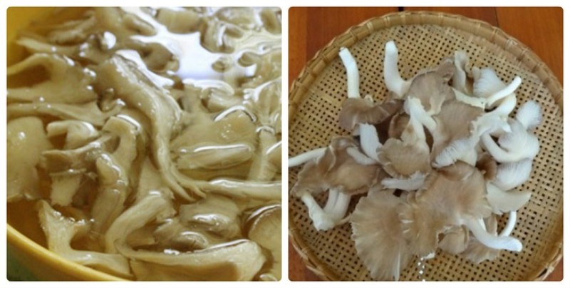 Nấm bào ngư xé nhỏ hoặc thái miếng vừa ăn
