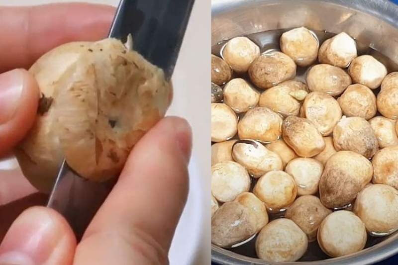 Công đoạn sơ chế nấm rơm