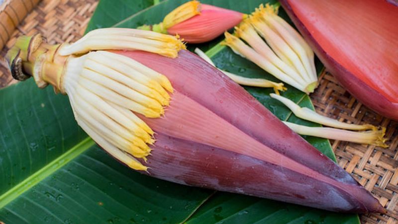 Cách chọn hoa chuối tươi và ngon