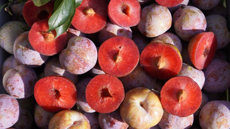 Nước mận ngâm chứa nhiều dinh dưỡng với lượng lớn vitamin 