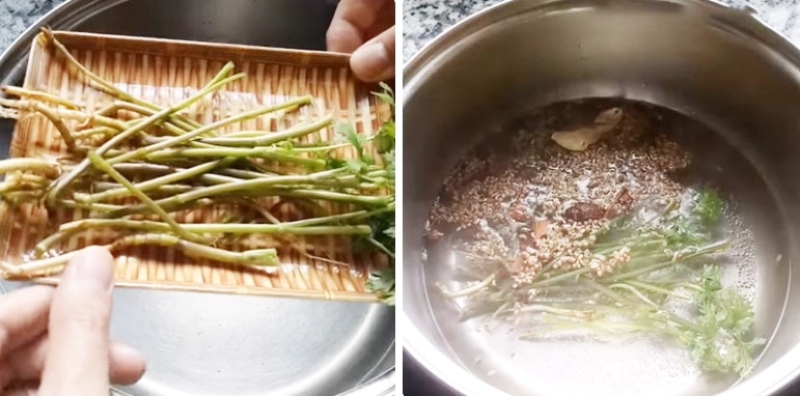 Sơ chế trụng chân ngò rí