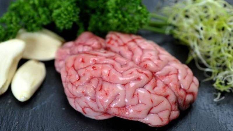 Bí quyết chọn óc heo tươi ngon chất lượng
