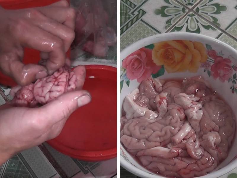Tiến hành sơ chế óc heo