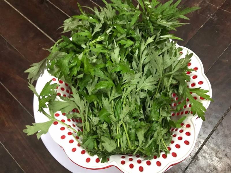 Rửa sạch rau ngải cứu