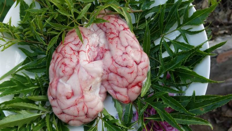 Bí quyết lựa chọn óc heo ngon chất lượng