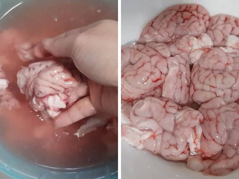 Óc heo mua về gỡ bỏ màng bên ngoài và các gân máu đỏ