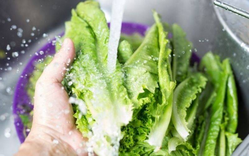 Rửa sạch rau diếp, rau mùi, cà rốt, dưa chuột 