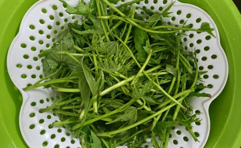 Rau lang được chế biến và rửa sạch