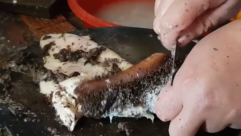 Sơ chế lá sách bò