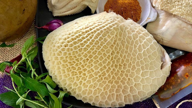 quan sát kỹ màu sắc và độ dày của lá sách trước khi mua