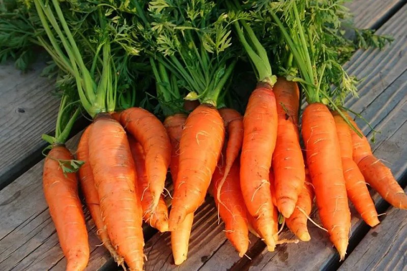 Mẹo chọn mua cà rốt tươi ngon