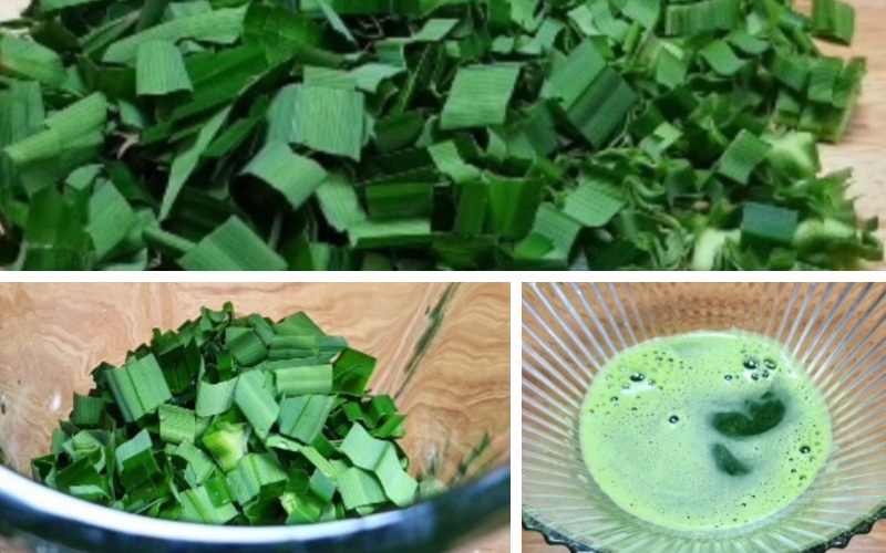 Tiến hành sơ chế lá dứa