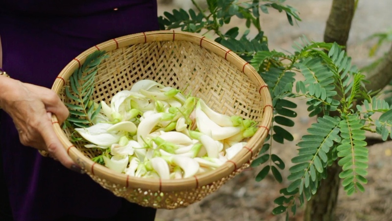giá trị dinh dưỡng từ bông so đũa và thịt bò