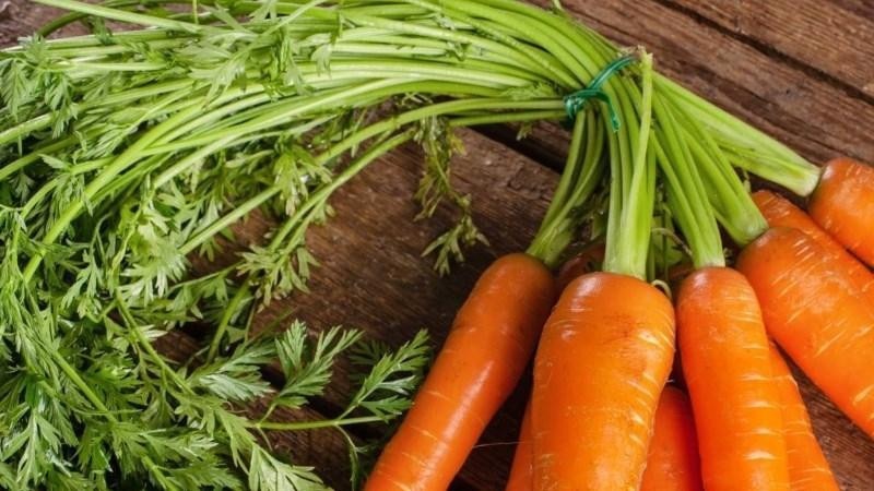 Bí quyết lựa chọn cà rốt tươi ngon