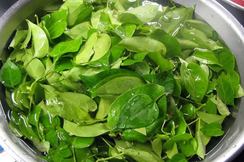 lá giang ngắt lấy lá