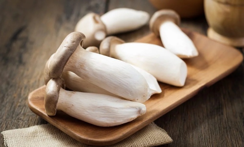 Hướng dẫn cách chọn nấm đùi gà tươi ngon