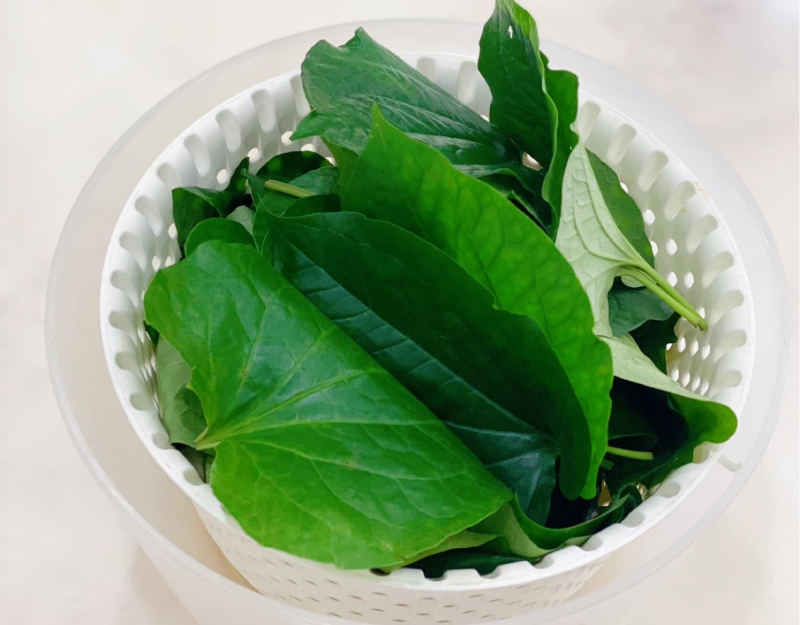 Lá lốt được đem rửa sạch và để ráo