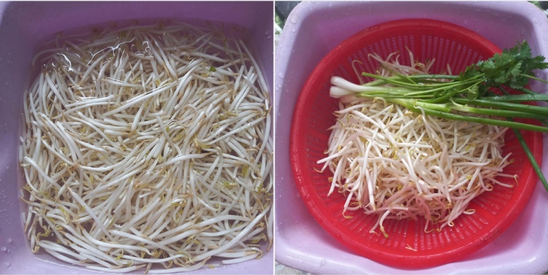 Giá đỗ rửa sạch, ngâm nước và để ráo chuẩn bị cho món xào