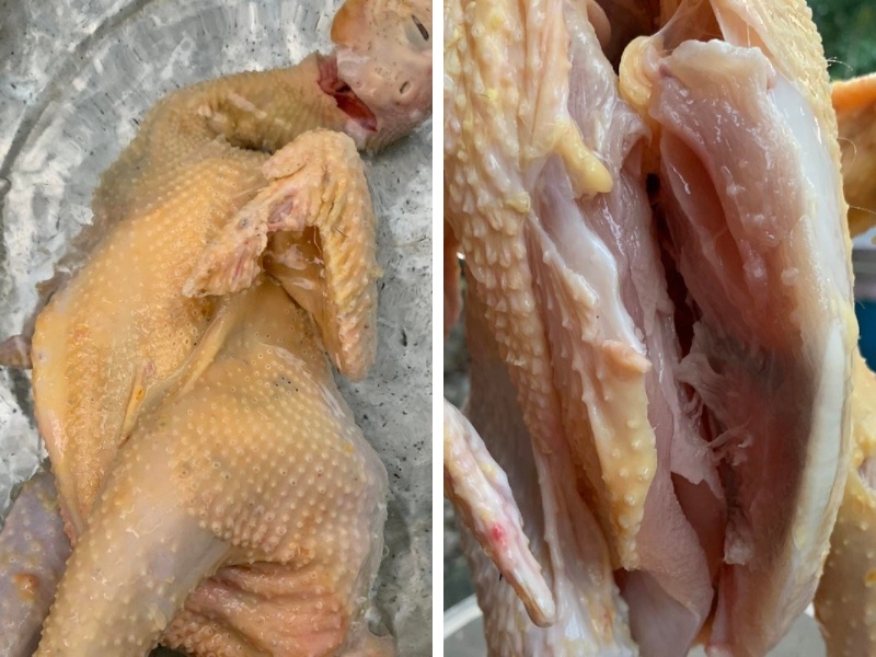 Gà đã được sơ chế, vặt lông sạch sẽ