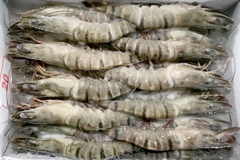 Tôm đông lạnh xếp khay