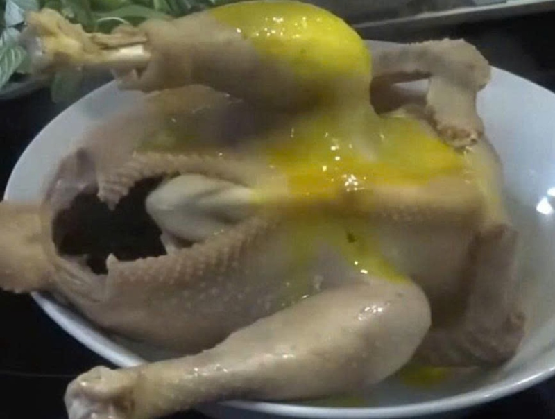 Bôi màu nghệ lên gà