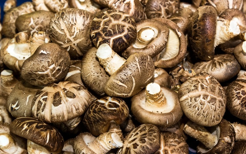Nấm hương tươi ngon