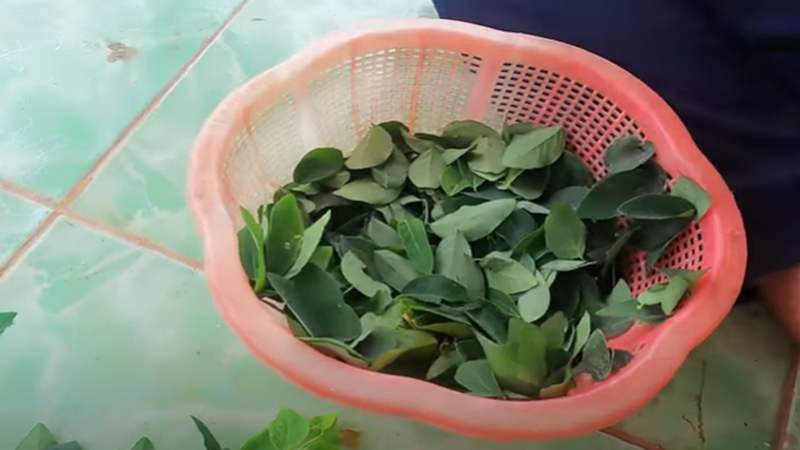 Sơ chế nguyên liệu làm canh mướp nấm bồ ngót
