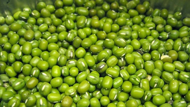 Bí quyết chọn mua đậu xanh chất lượng