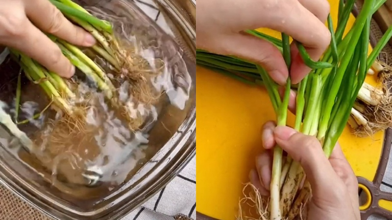 Rửa sạch và tách hành lá trước khi chế biến