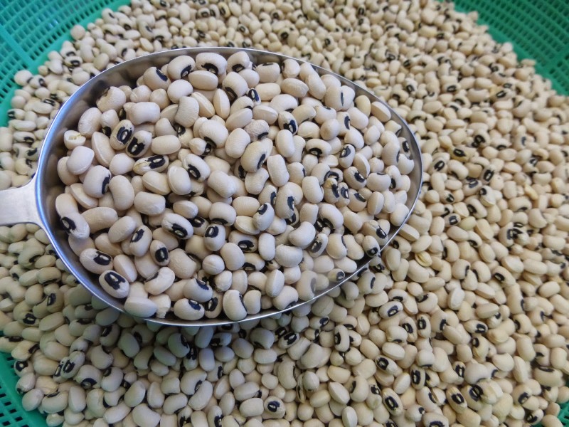 Hạt đậu tròn đẹp