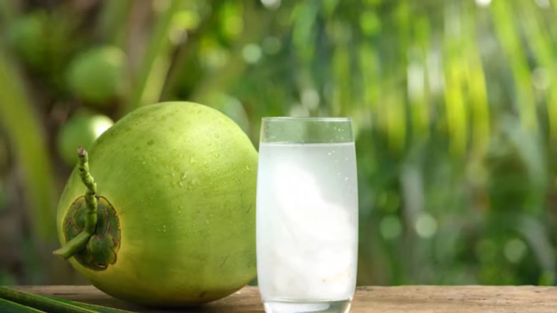 Hướng dẫn chọn dừa ngon