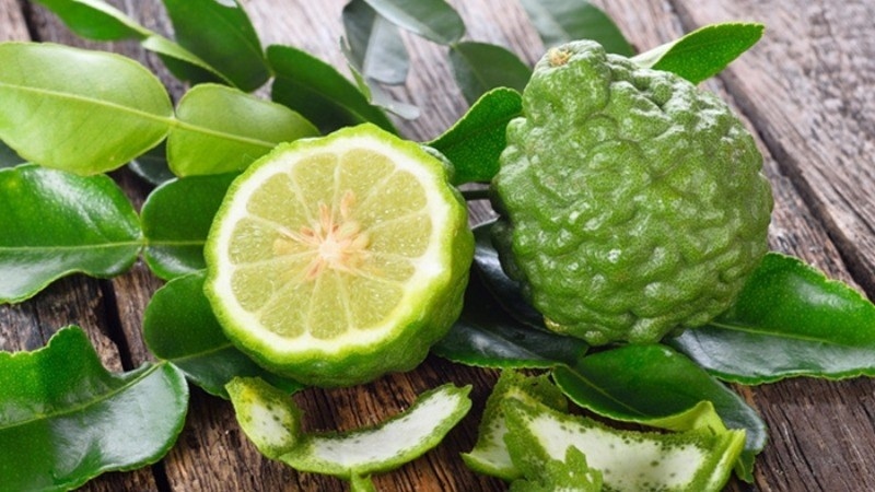 chọn mua lá chúc tại chợ hoặc các cửa hàng thực phẩm