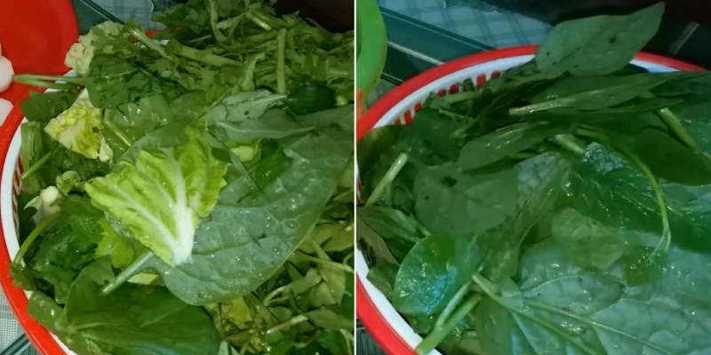 Rau mồng tơi rửa sạch, để ráo