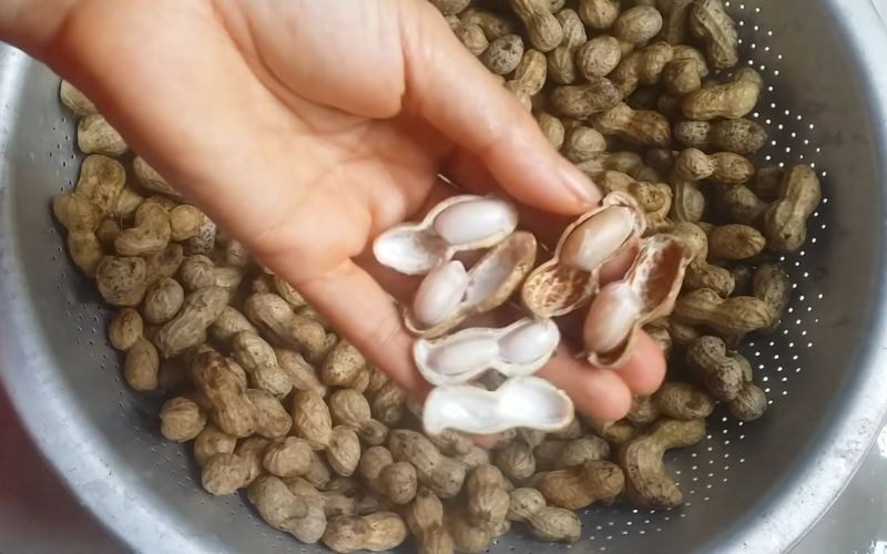 Đậu phộng luộc chín và bóc vỏ