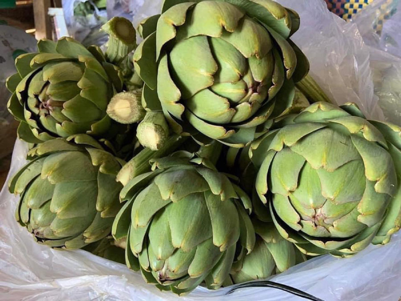  Atiso tươi được chọn kỹ để nấu
