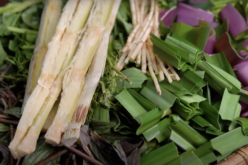 Nguyên liệu làm nước mía lau: mía lau, râu ngô, rễ tranh và lá dứa tươi, tất cả đều đã được rửa sạch.