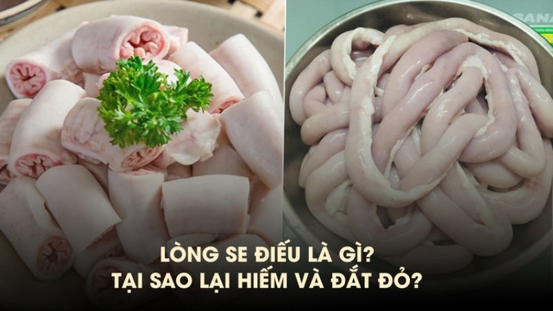 lý giải lòng se điếu là gì