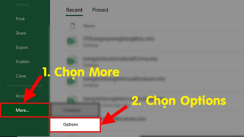 Giao diện truy vập tùy chọn Options