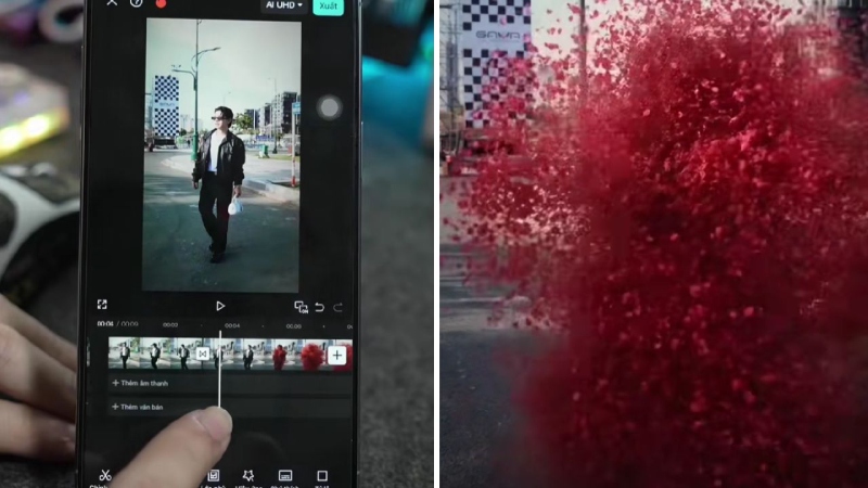 Video tạo trend tan biến thành cánh hoa