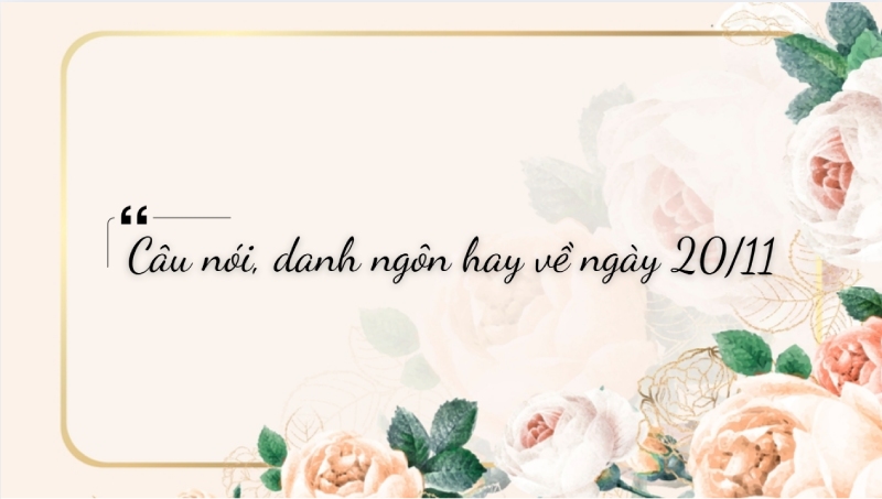 Câu nói và danh ngôn hay về ngày 20/11 tri ân thầy cô giáo