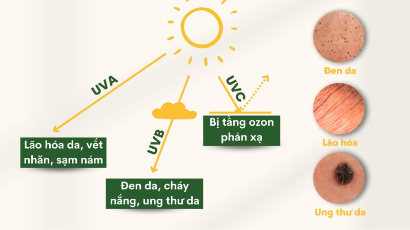Tác hại của tia UVA UVB