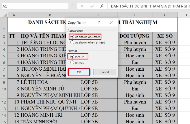 Tích các lựa chọn để chuyển file excel sang ảnh